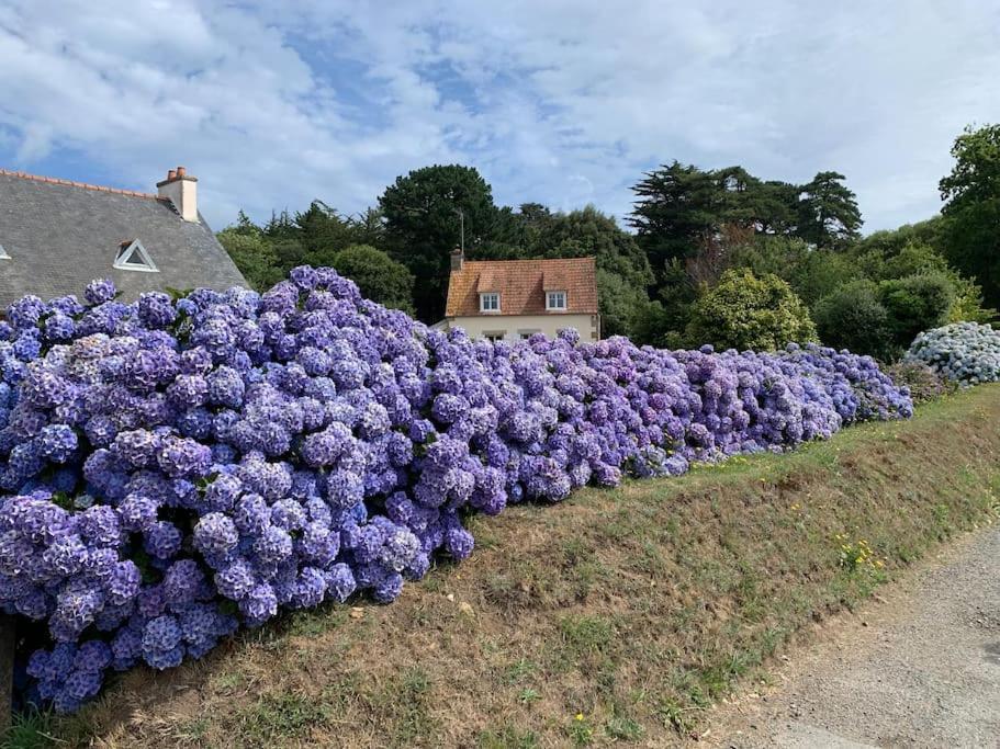 La Petite Bretonne Villa Plounerin Bagian luar foto